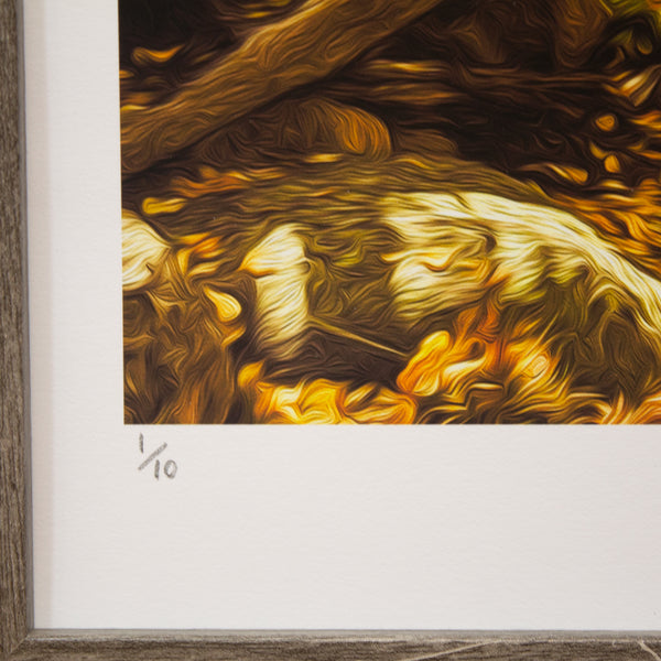 AMBER ABYSS - Limited Edition Print