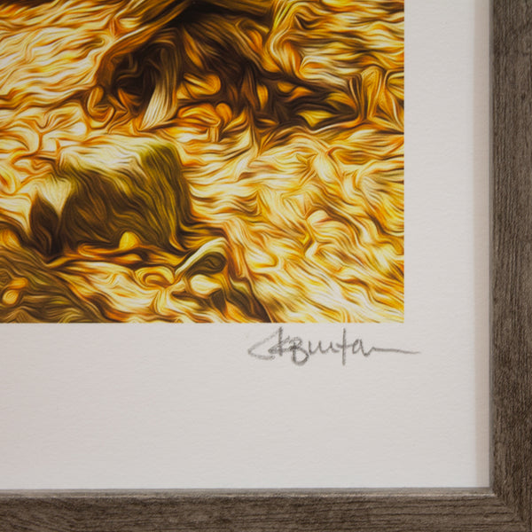 AMBER ABYSS - Limited Edition Print