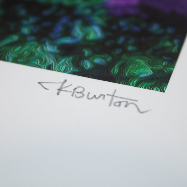 BABY ON THE RUN - Limited Edition Print