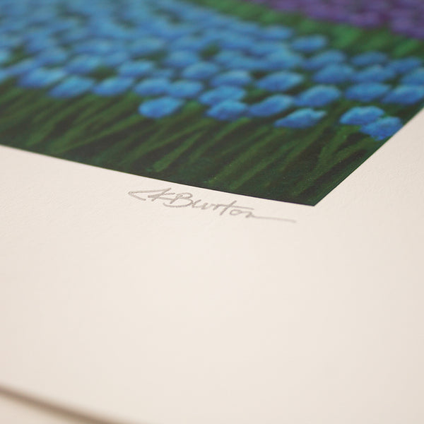 BLOOM - Limited Edition Print