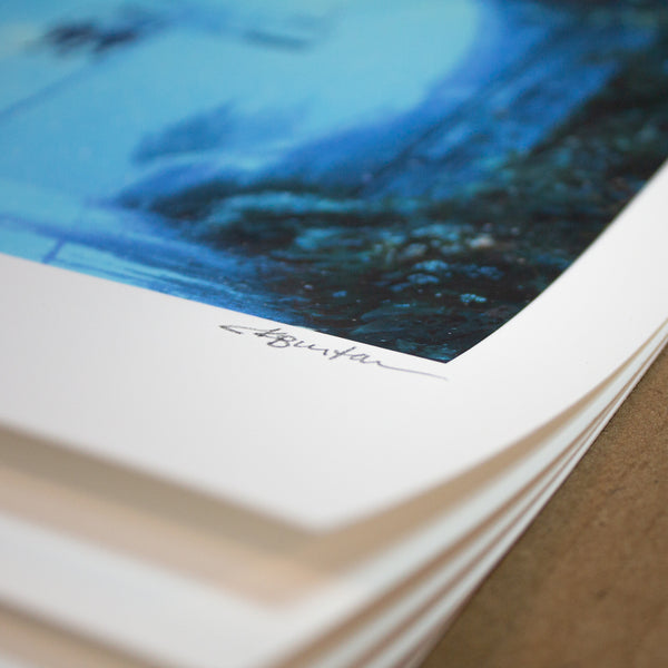 GARDEN RUN - Limited Edition Print