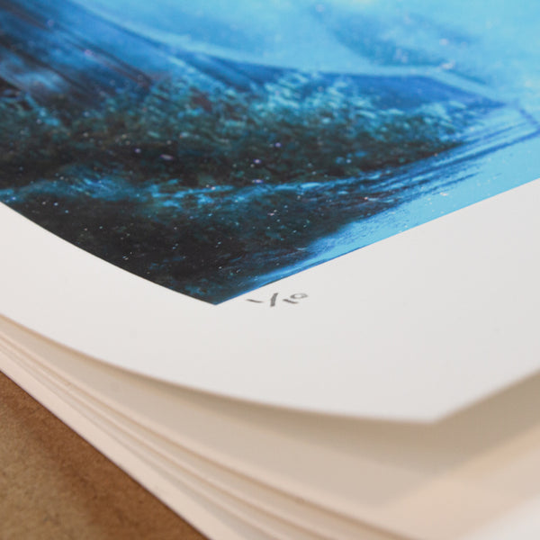 GARDEN RUN - Limited Edition Print
