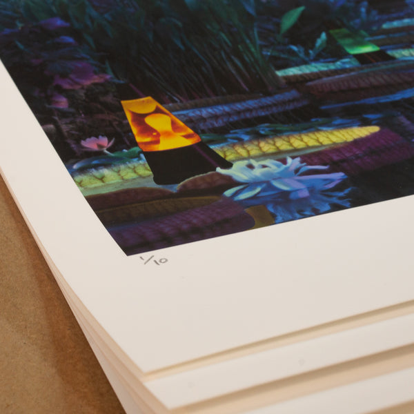 LAVAS ON THE LILIES - Limited Edition Print